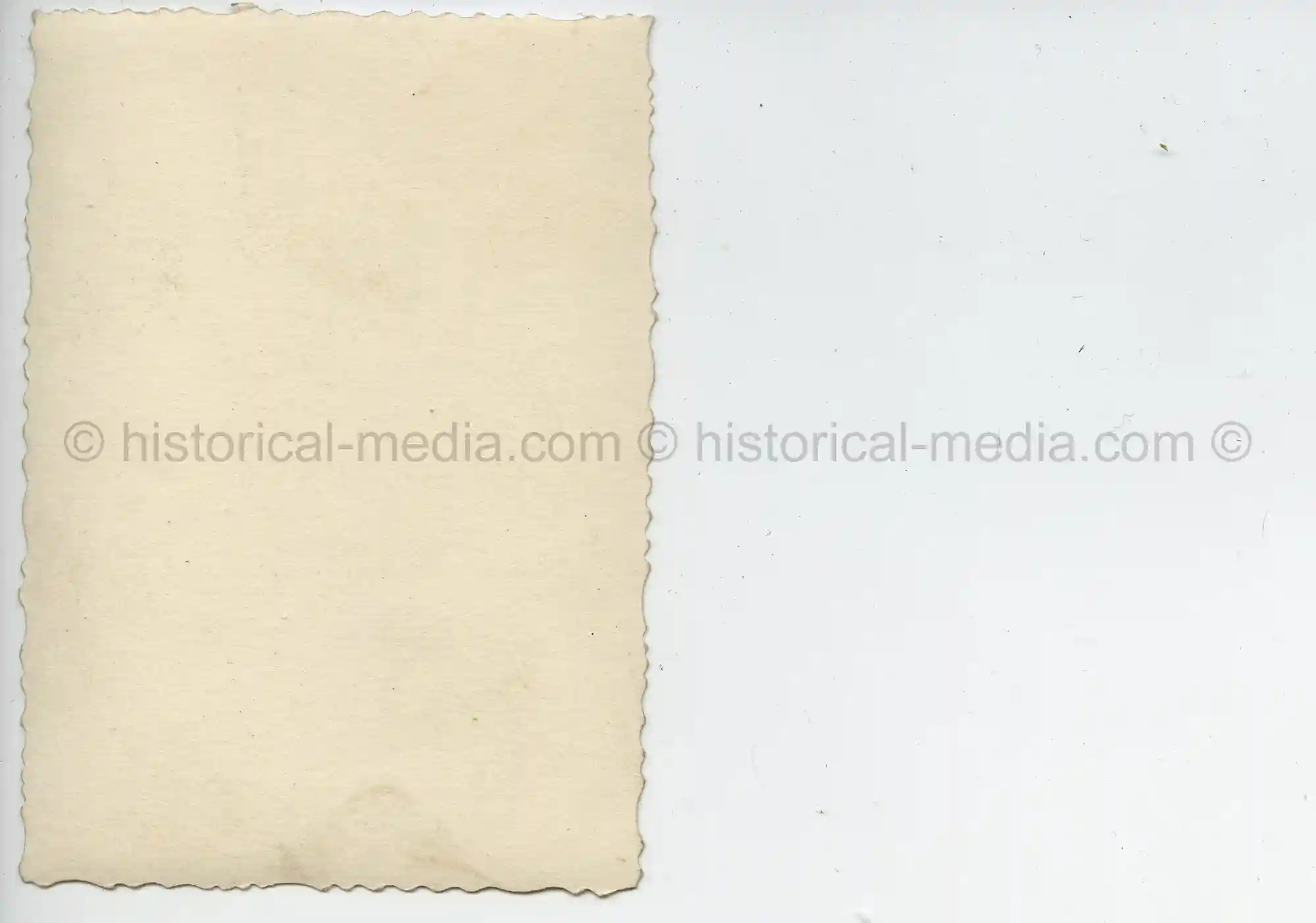 WAFFEN-SS STUDIO PORTRAIT PHOTO - SS WIKING - STURMABZEICHEN