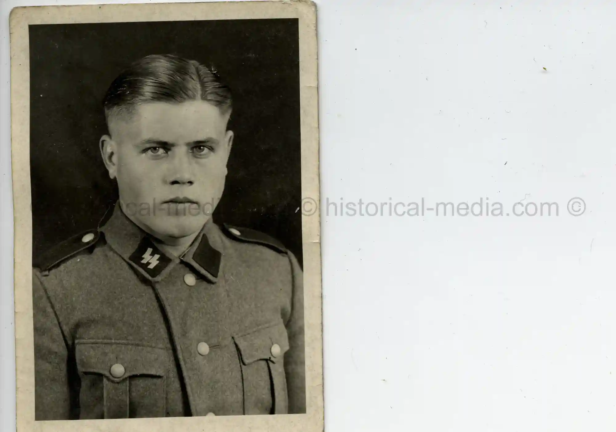WAFFEN-SS STUDIO PORTRAIT PHOTO - SS WIKING 