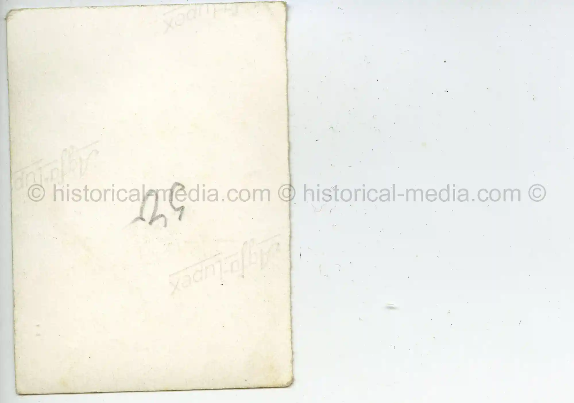 WAFFEN-SS STUDIO PORTRAIT PHOTO - SS WIKING 