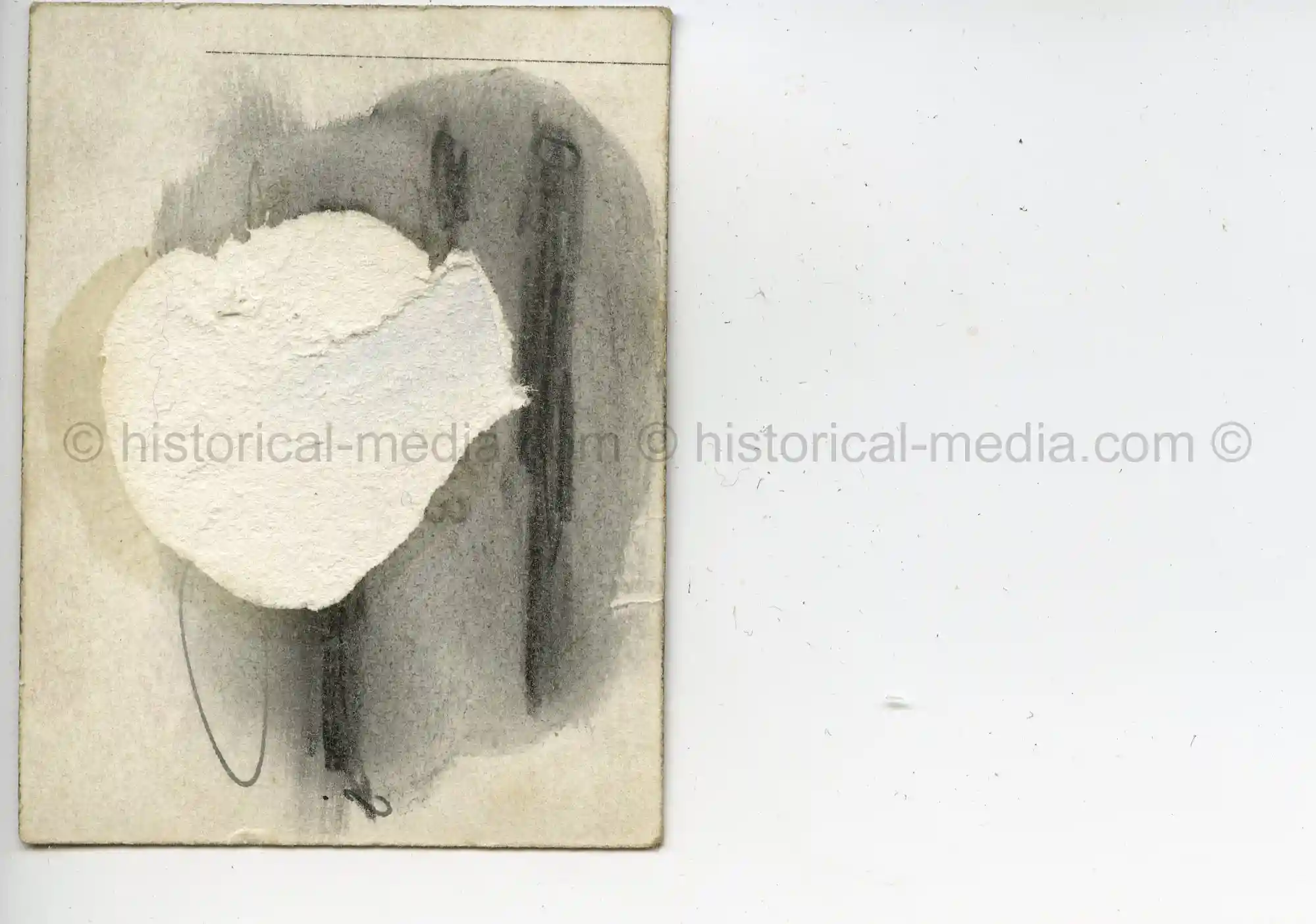 WAFFEN-SS STUDIO PORTRAIT PHOTO - SS WIKING 