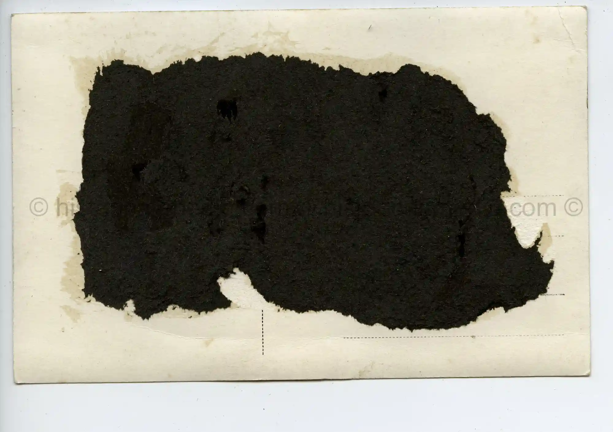 WAFFEN-SS POSTCARD PHOTO - DACHAU SS BARRACKS