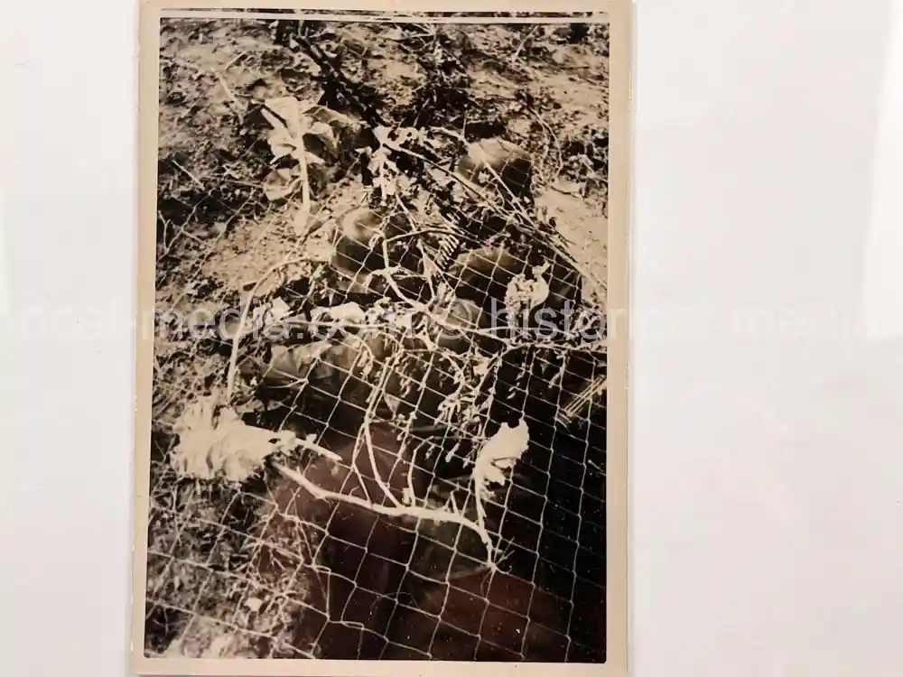 ORIGINAL PRESS PHOTO -  GERMAN MG 34 IN ACTION UNDER CAMO IN THE FIELD