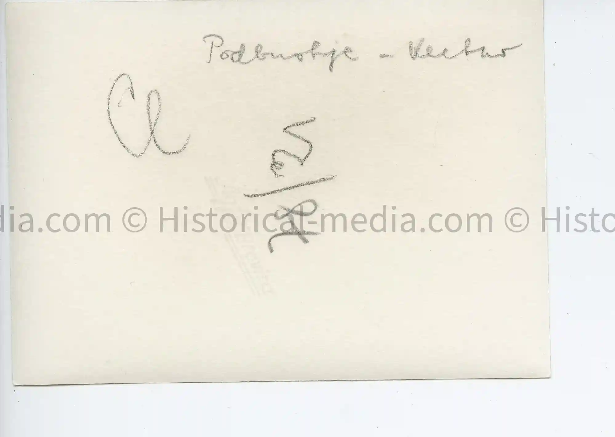 WWII GERMAN PHOTO STURMGESCHÜTZ III IN ACTION IN FIELD - RUSSIA CAMPAIGN