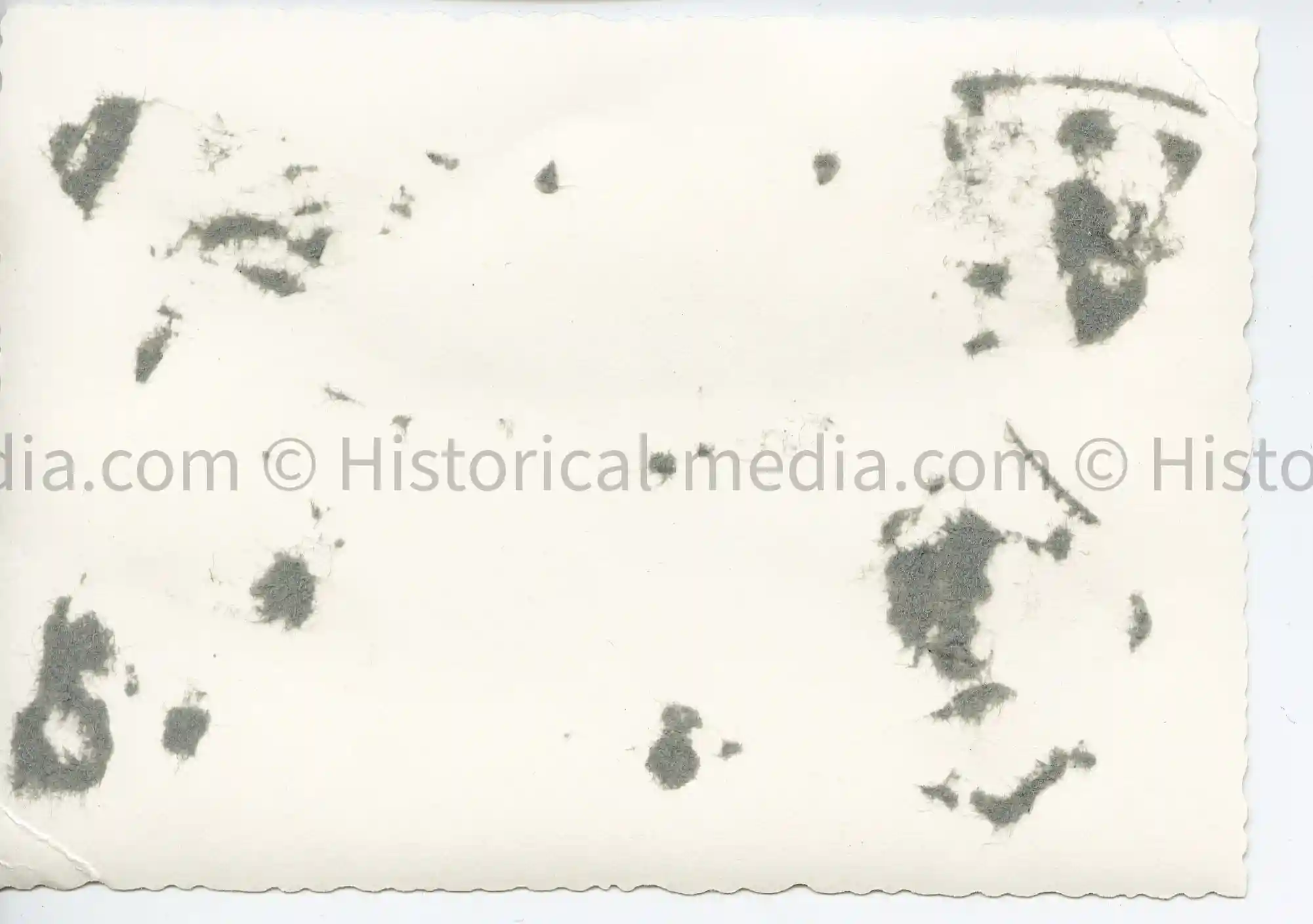 WWII GERMAN PHOTO STURMGESCHÜTZ III LANGE ROHR + UNIT EMBLEM