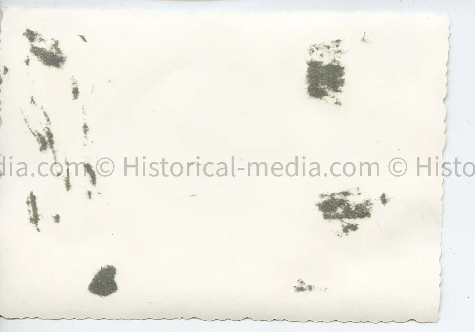 WWII GERMAN PHOTO STURMGESCHÜTZ III LANGE ROHR + SIDE ARMOR & CAMO ON TRAIN TRANSPORT