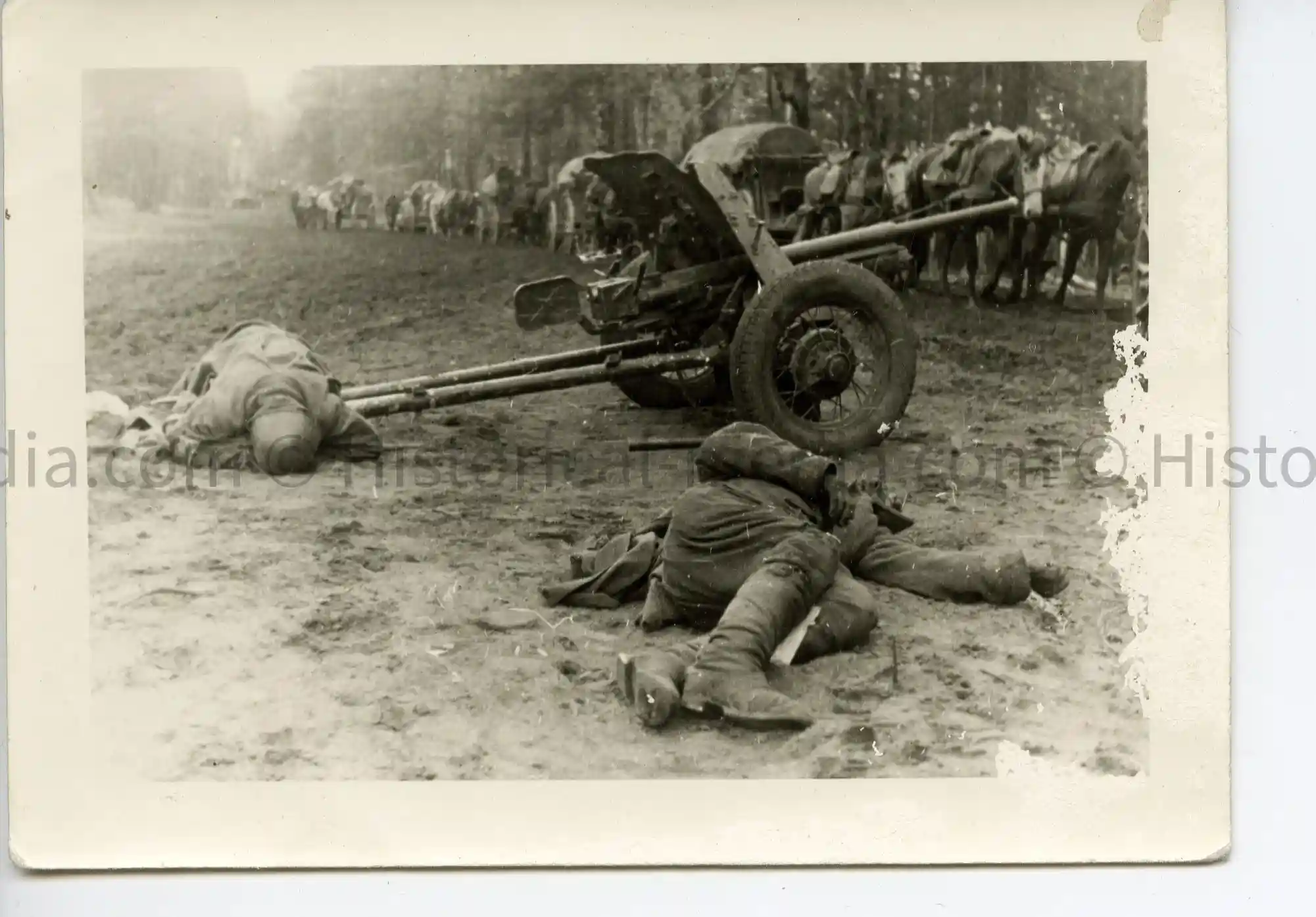 WWII GERMAN PHOTO KIA RUSSIAN PAK CREW - SOVIET 45 MM ANTI-TANK GUN M1937 (53-K)