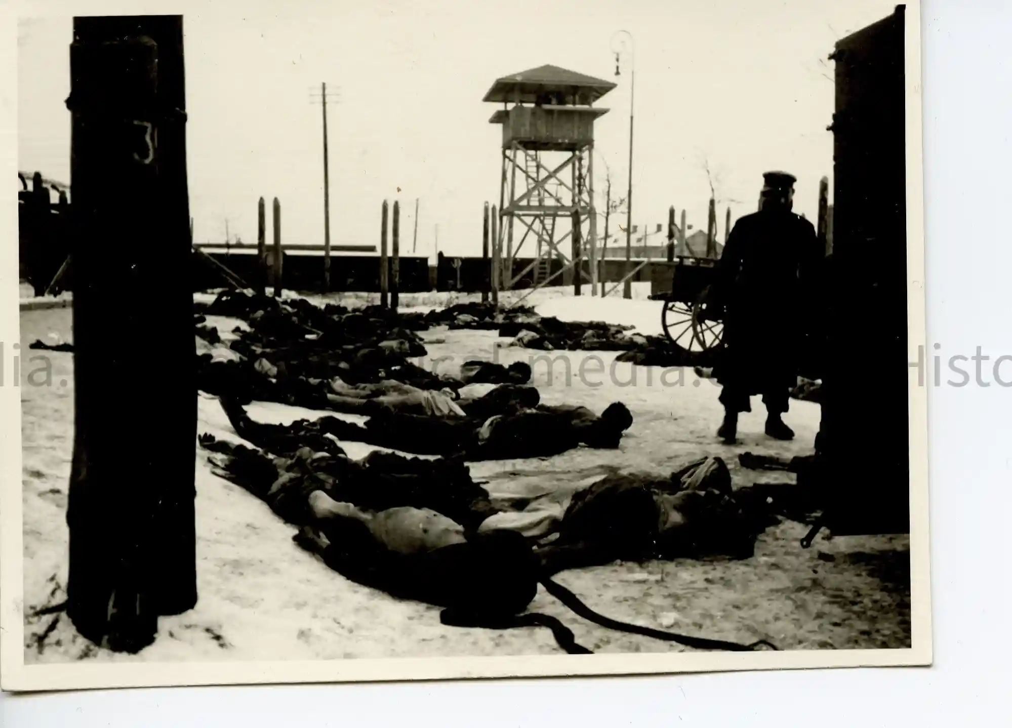  WWII GERMAN PHOTO EXECUTED PRISONERS IN RIGA POW CAMP