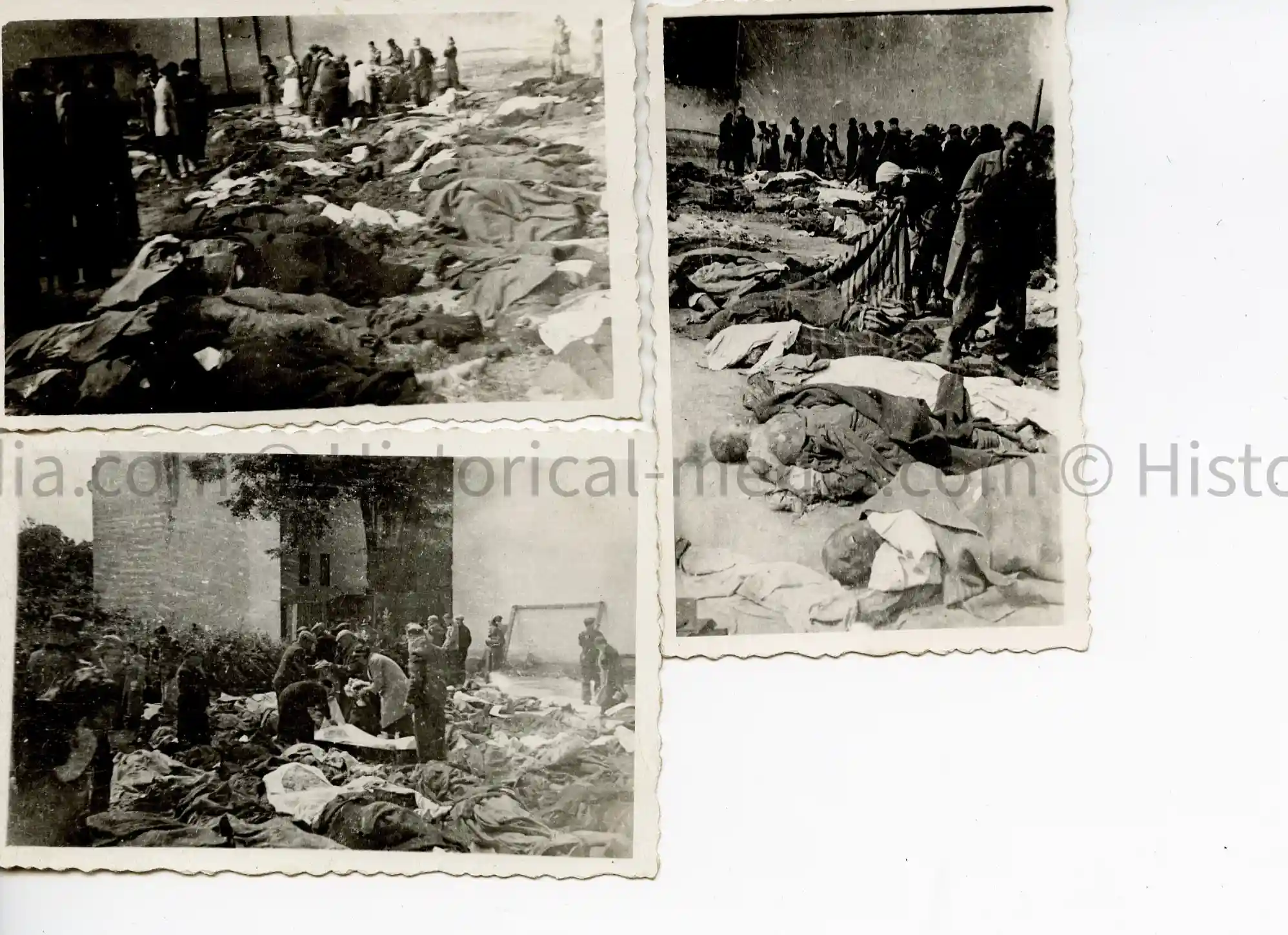 WWII GERMAN PHOTO - 3X PHOTOS MURDERED CIVILIAN IN LEMBERG