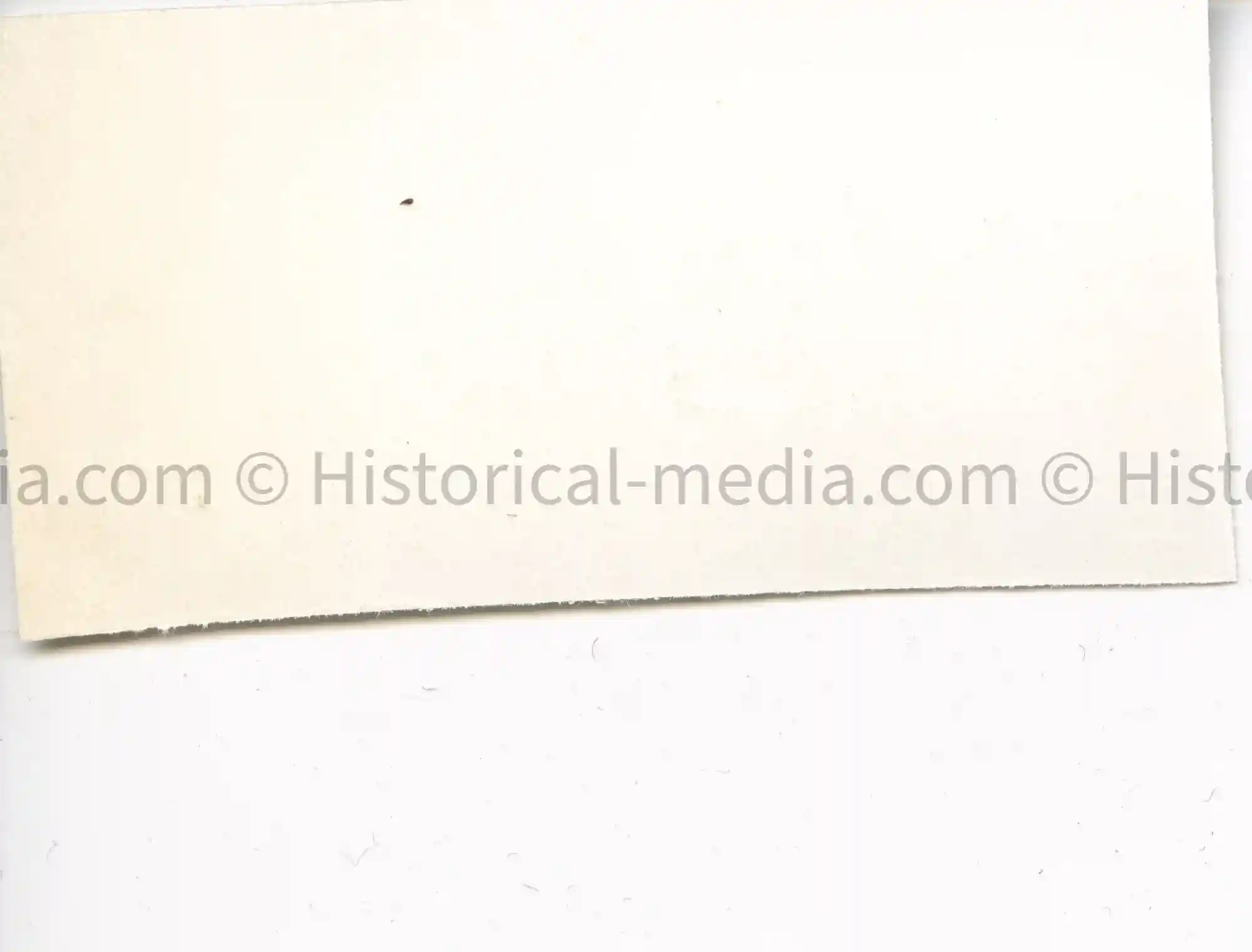 US WWII AIR CORPS NOSE ART PHOTO - MARCELLA