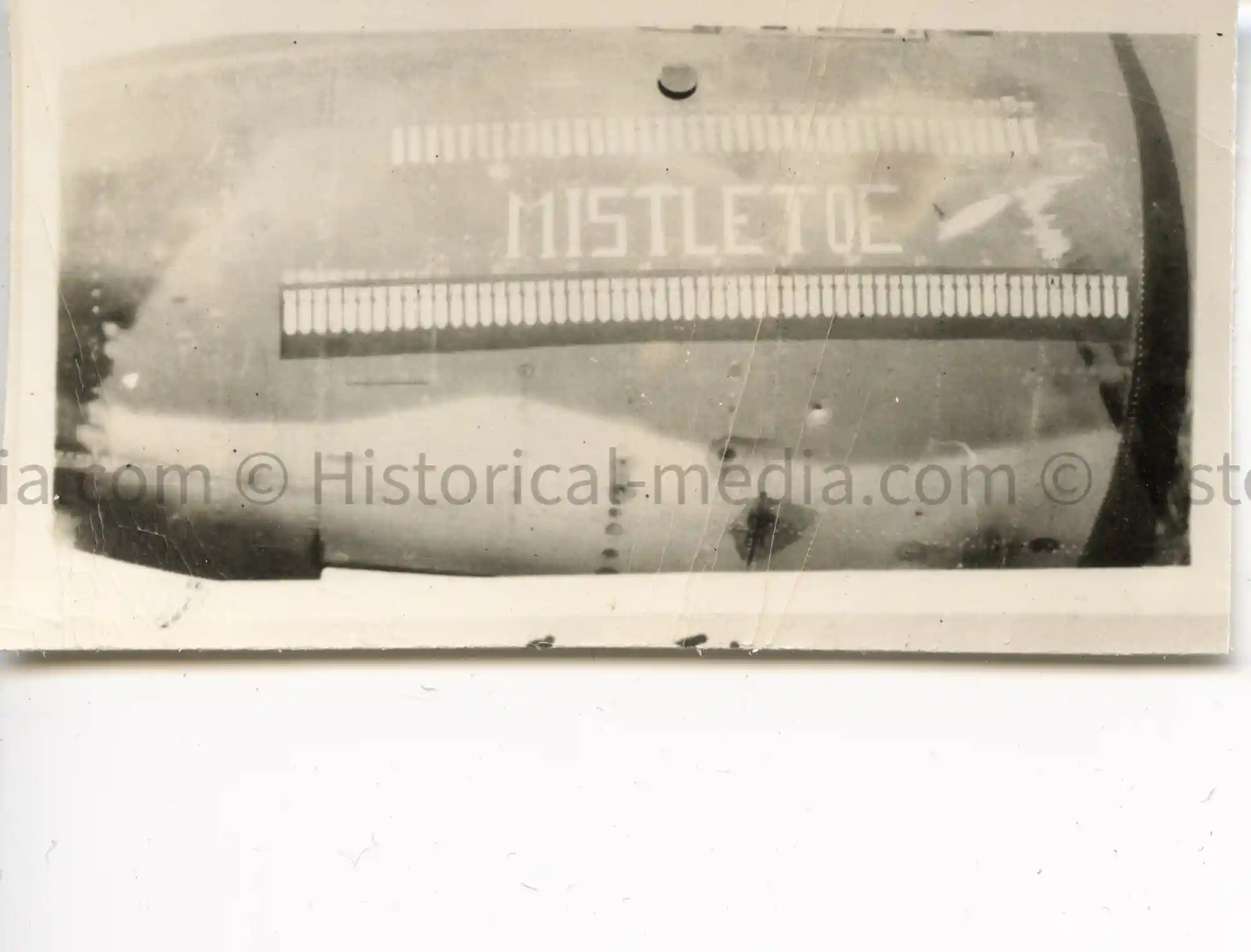 US WWII AIR CORPS NOSE ART PHOTO - MISTLETOE