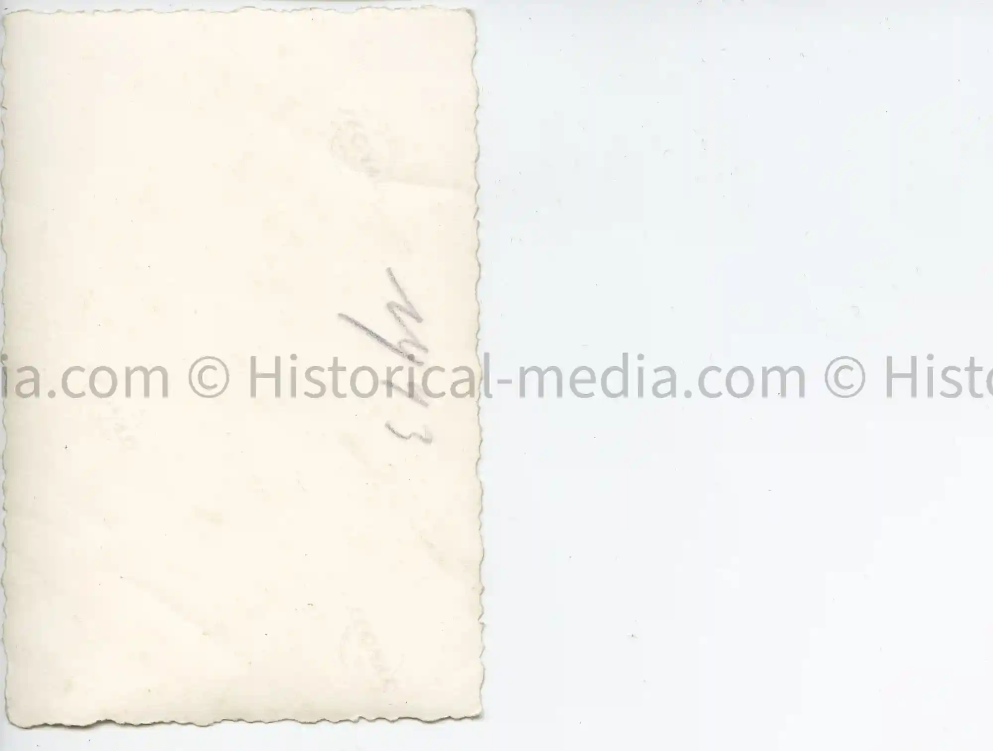 US AIR CORPS NOSE ARTFELDGENDARMERIE CUFFTITLE IN WEAR