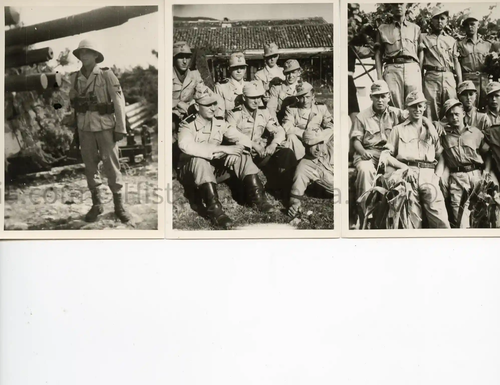3X WAFFEN-SS TROPICAL PHOTOS - SS FLAK ABT 16 ON CORSICA- RARE!!