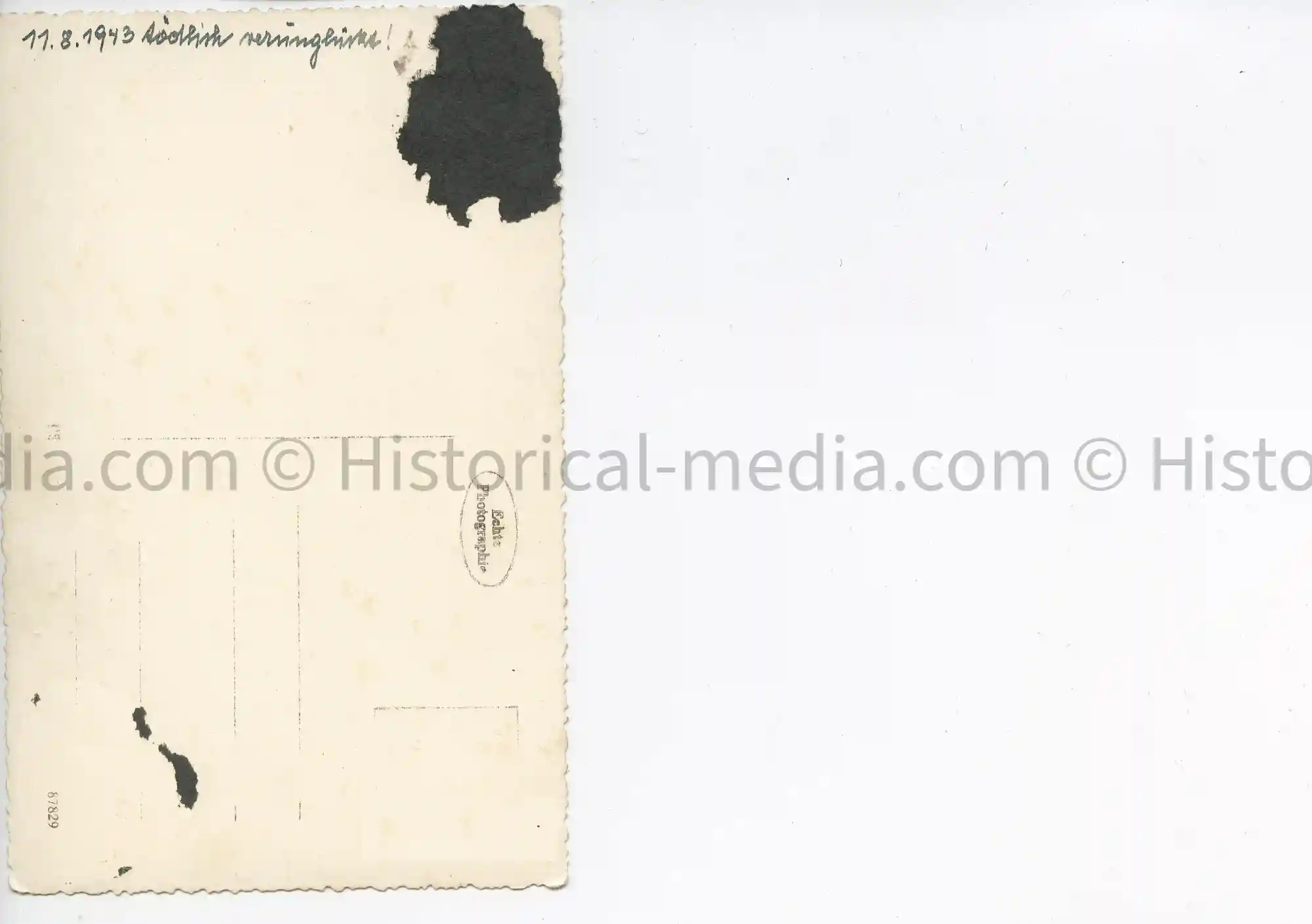 LUFTWAFFE STUDIO PORTRAIT PHOTO - FLIGHT CLASP. EK1, AFRIKA/ITALY - MIA 1943