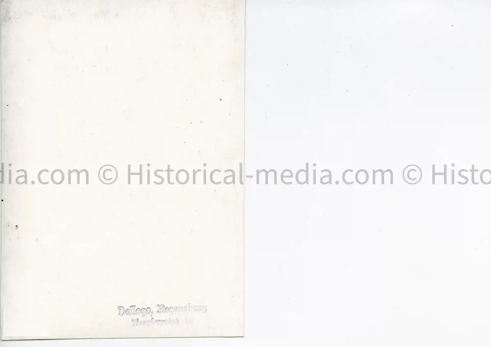 LUFTWAFFE STUDIO WEDDING PORTRAIT PHOTO - MEDAL BAR