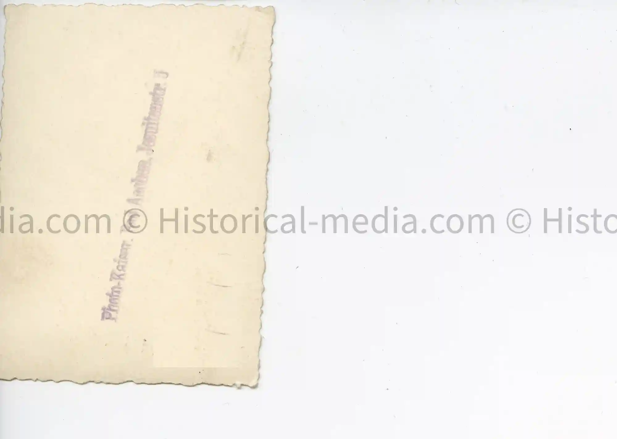 HITLER JUGEND STUDIO PORTRAIT PHOTO