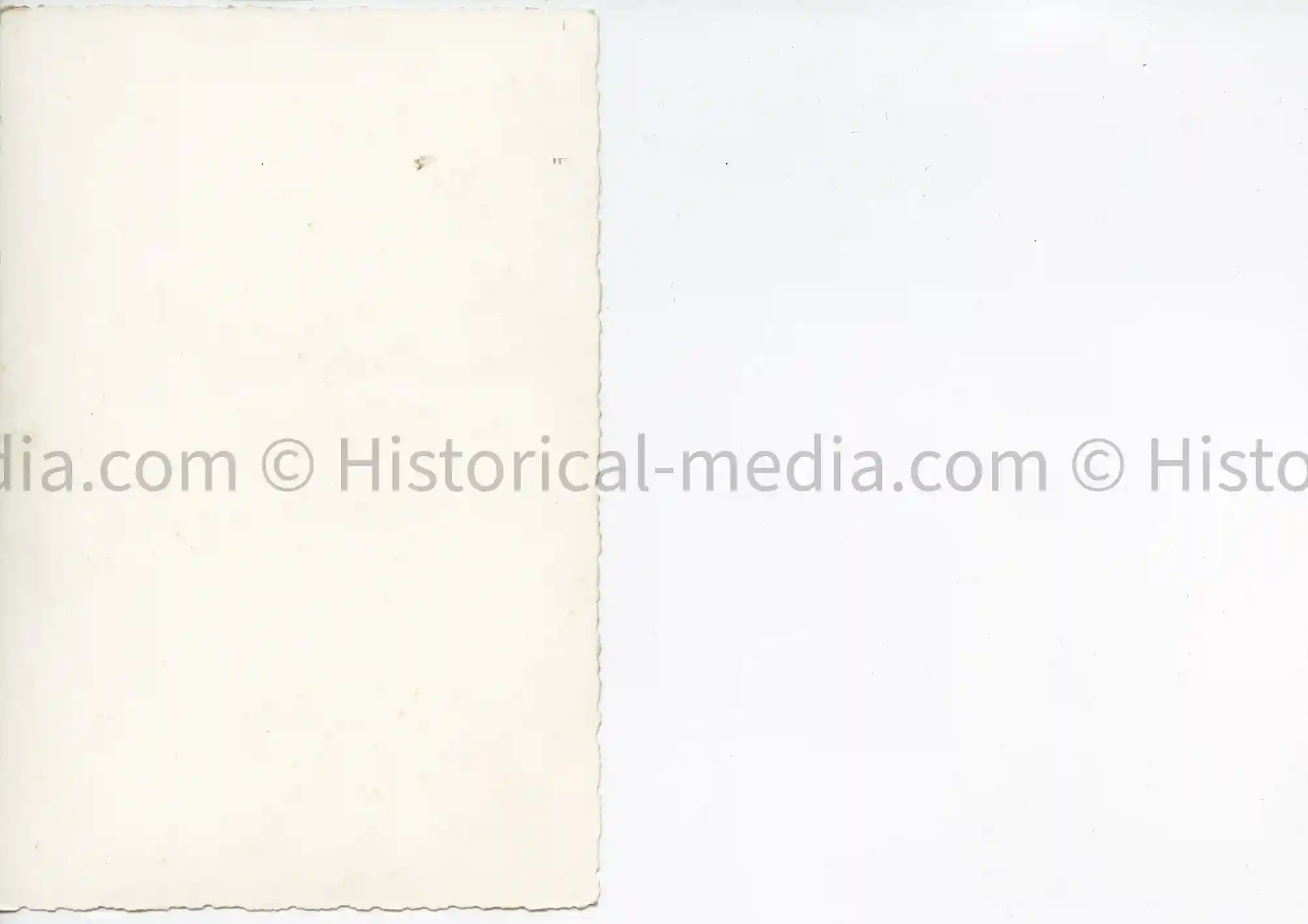 LUFTWAFFE WEDDING STUDIO PORTRAIT PHOTO - FLIGHT CLASP. AIR GUNNER