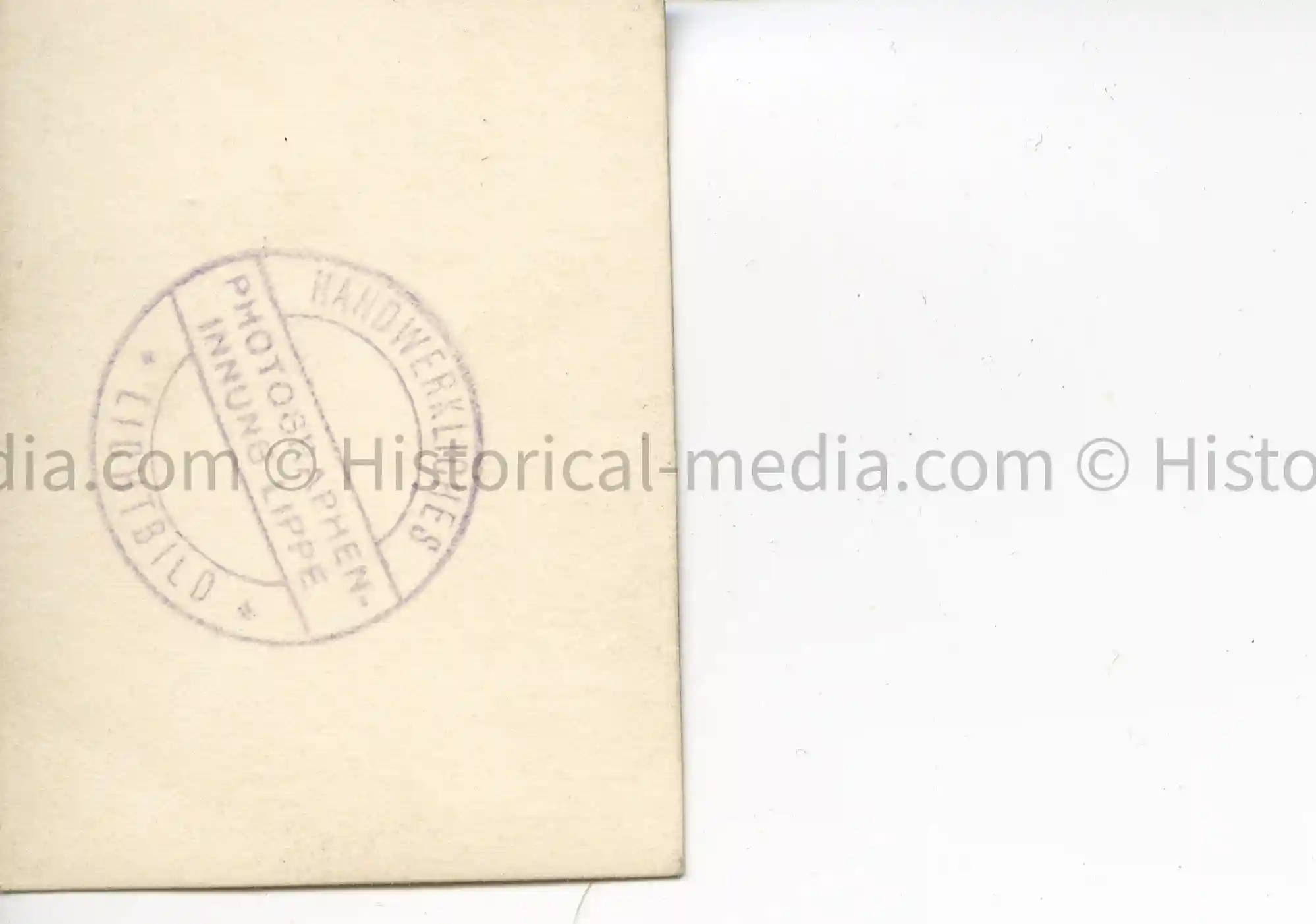 BDM GIRL PASS-SIZE PORTRAIT PHOTO BDM GIRL PASS-SIZE PORTRAIT PHOTO