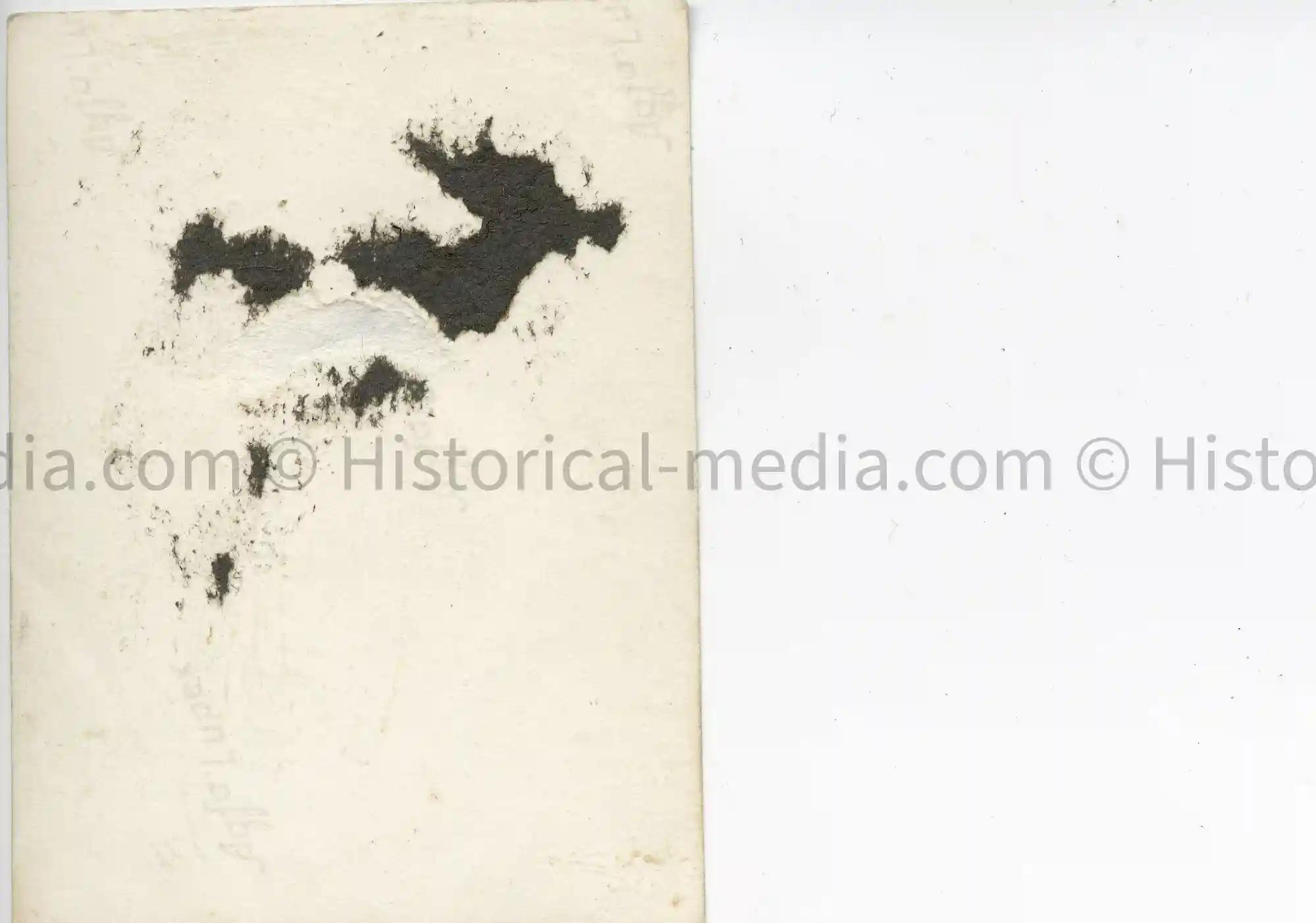 HITLER JUGEND PASS-SIZE PORTRAIT PHOTO HITLER JUGEND PASS-SIZE PORTRAIT PHOTO