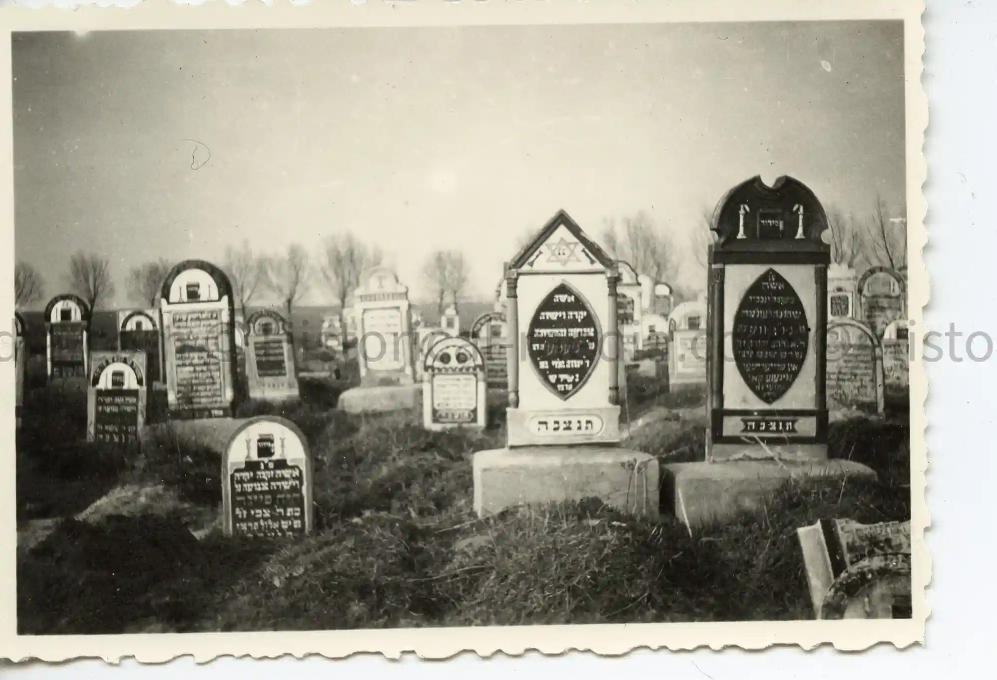 GERMAN WWII PHOTO OF JEWISH CEMETERY TAKEN BY GERMAN SOLDIER 