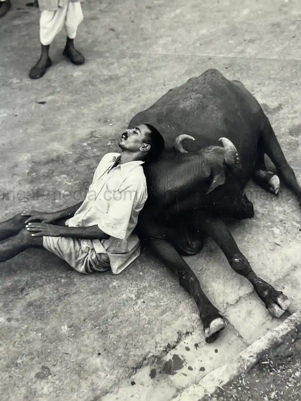 WWII US CBI OFFICER PHOTO ALBUM + LARGE LEATHER CBI JACKET PATCH - GOOD GURHA PHOTOS - BENGAL AIR DEPOT