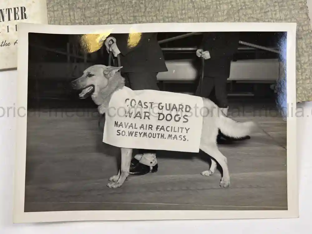 US WWII COAST GUARD WAR DOGS PHOTO, MANUAL AND DOCUMENT ARCHIVE - RARE!
