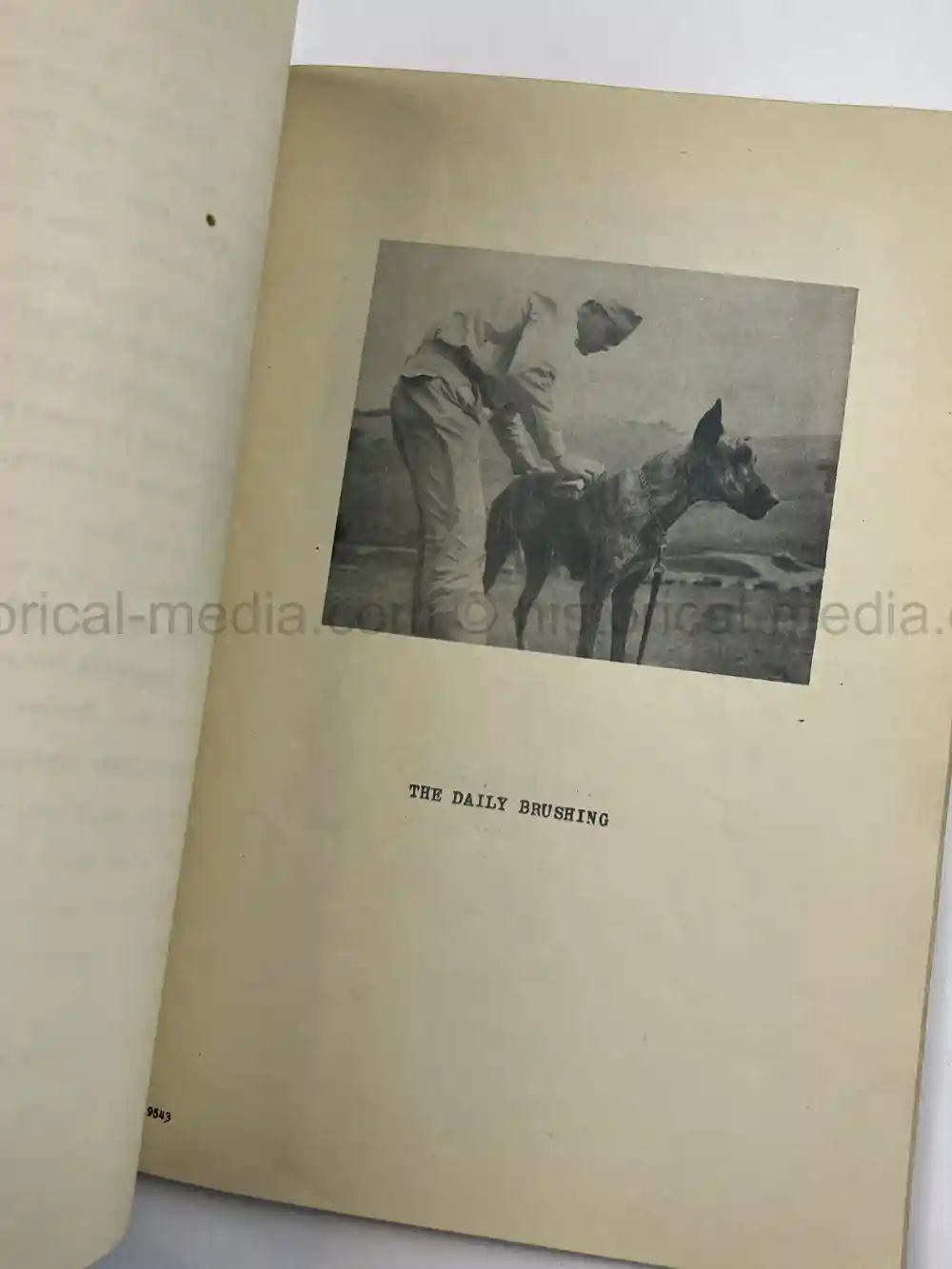 US WWII COAST GUARD WAR DOGS PHOTO, MANUAL AND DOCUMENT ARCHIVE - RARE!