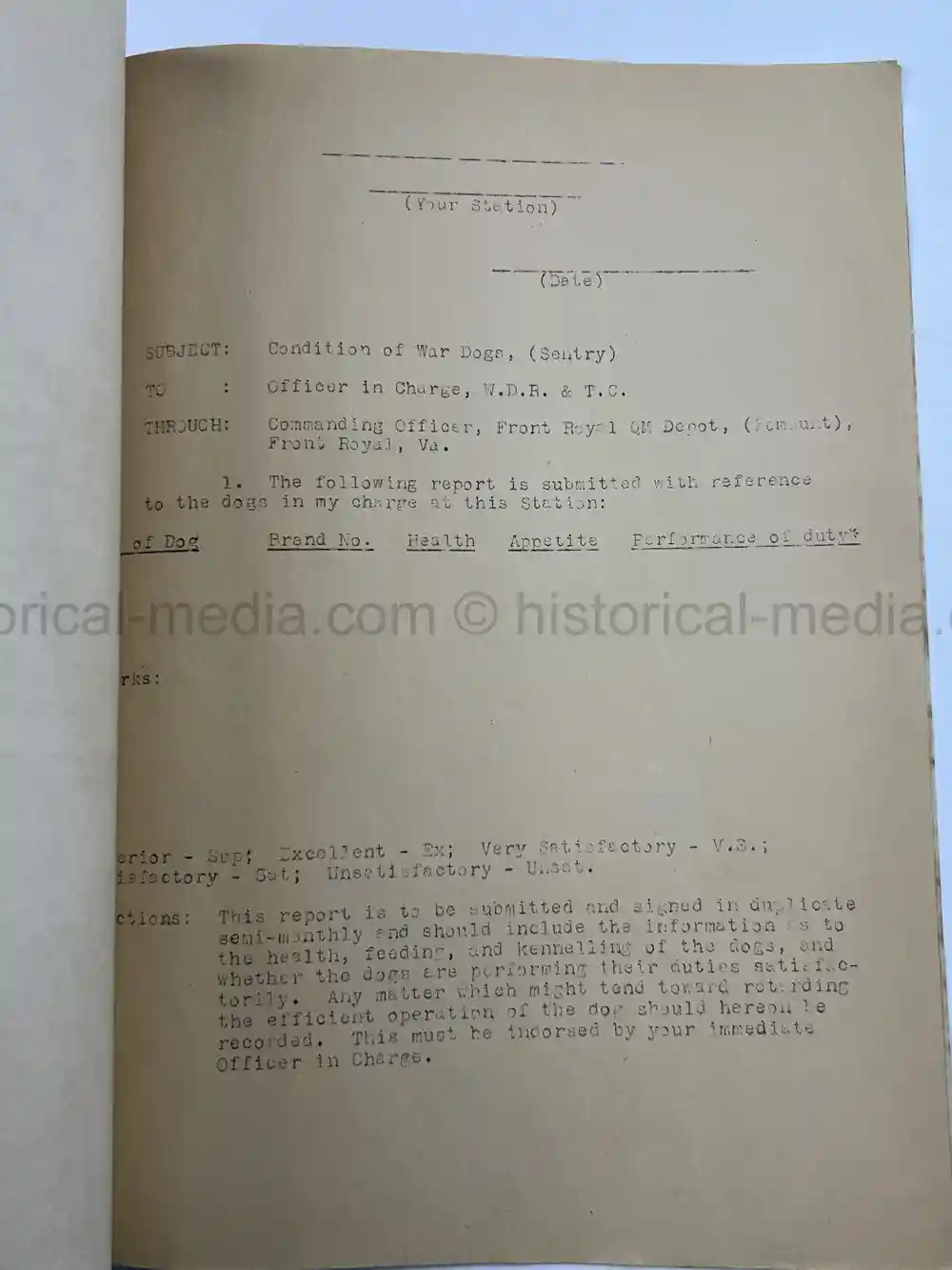 US WWII COAST GUARD WAR DOGS PHOTO, MANUAL AND DOCUMENT ARCHIVE - RARE!