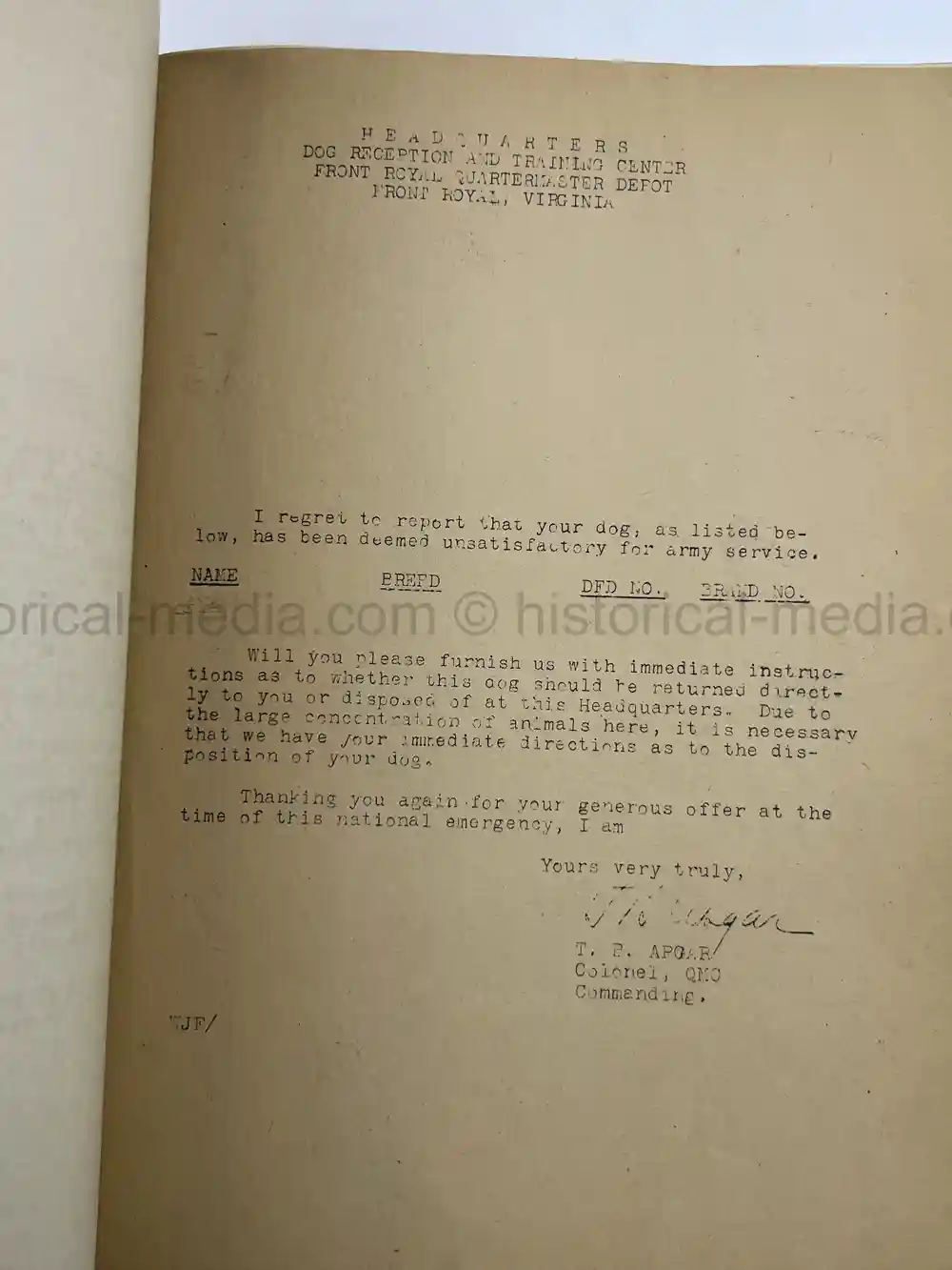 US WWII COAST GUARD WAR DOGS PHOTO, MANUAL AND DOCUMENT ARCHIVE - RARE!