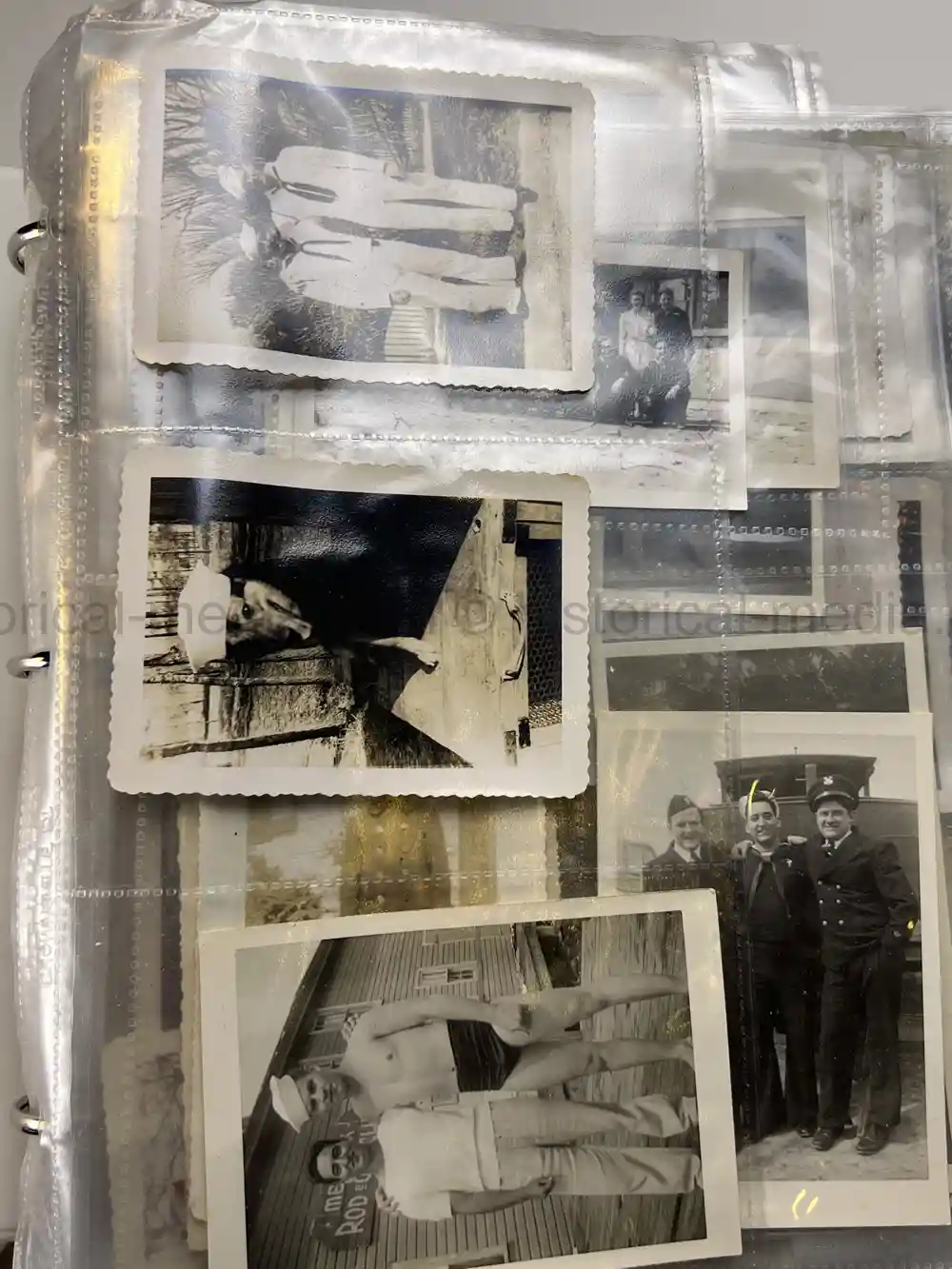 US WWII COAST GUARD WAR DOGS PHOTO, MANUAL AND DOCUMENT ARCHIVE - RARE!