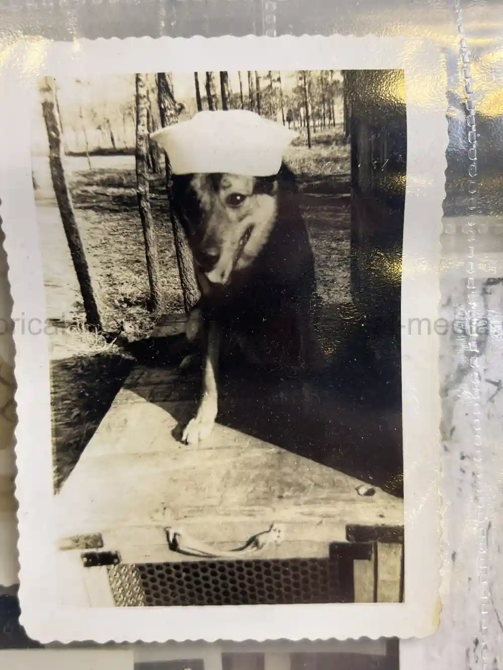 US WWII COAST GUARD WAR DOGS PHOTO, MANUAL AND DOCUMENT ARCHIVE - RARE!