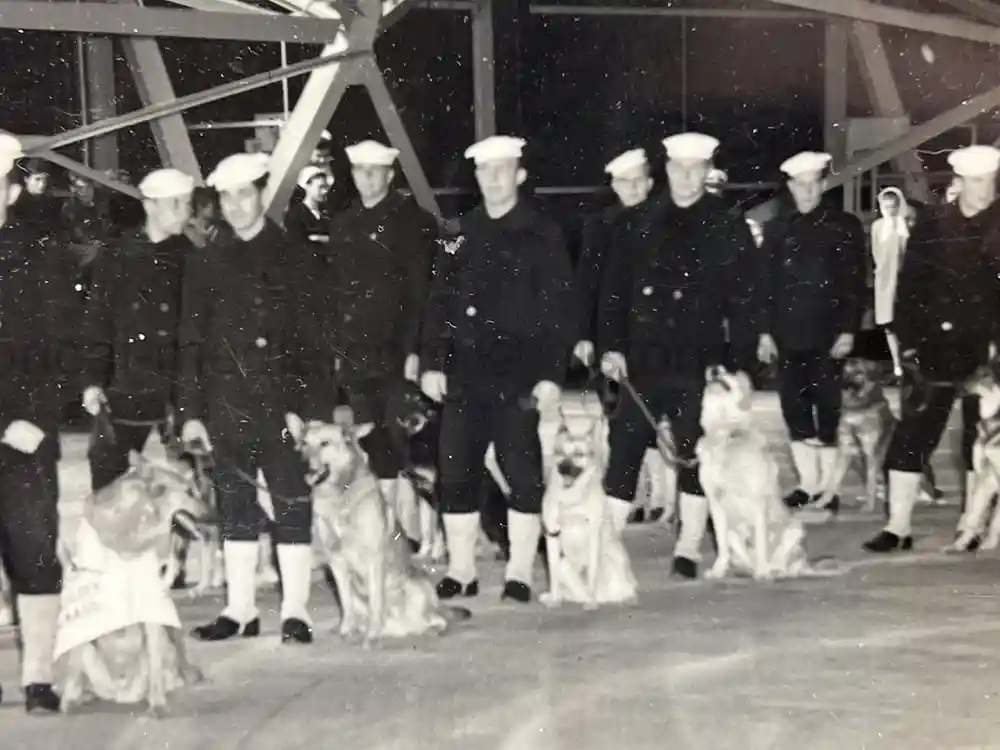 US WWII COAST GUARD WAR DOGS PHOTO, MANUAL AND DOCUMENT ARCHIVE - RARE!