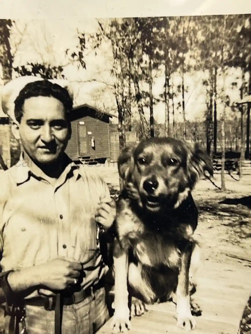 US WWII COAST GUARD WAR DOGS PHOTO, MANUAL AND DOCUMENT ARCHIVE - RARE!