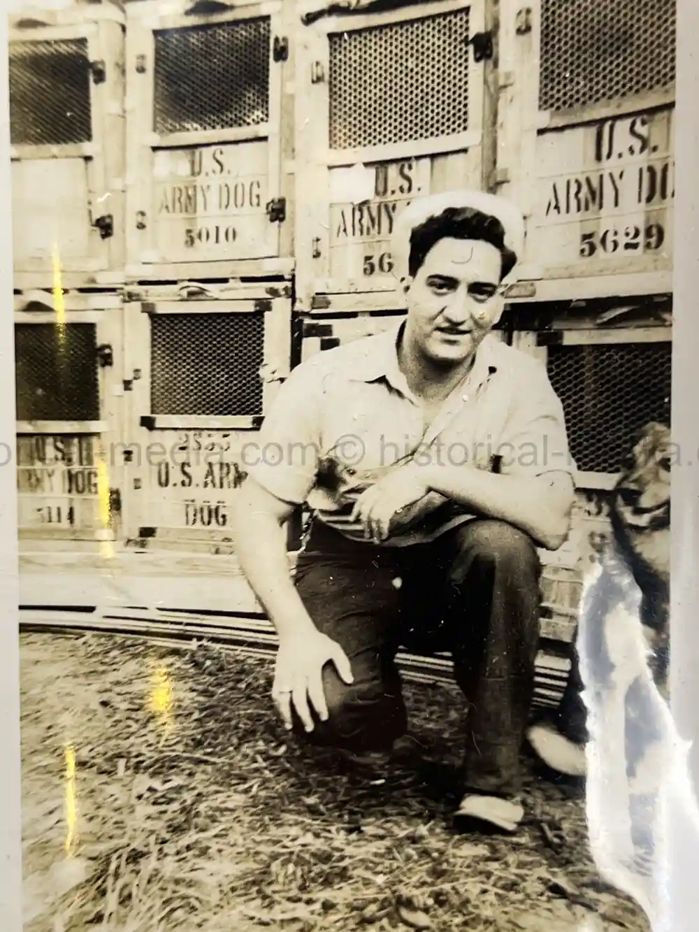 US WWII COAST GUARD WAR DOGS PHOTO, MANUAL AND DOCUMENT ARCHIVE - RARE!