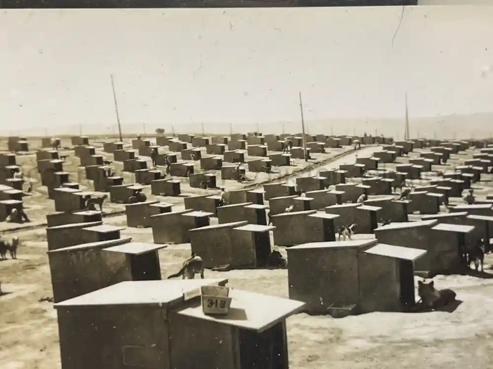 US WWII COAST GUARD WAR DOGS PHOTO, MANUAL AND DOCUMENT ARCHIVE - RARE!