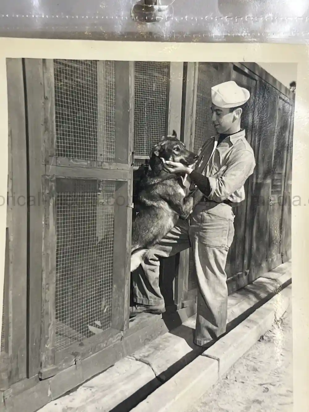 US WWII COAST GUARD WAR DOGS PHOTO, MANUAL AND DOCUMENT ARCHIVE - RARE!