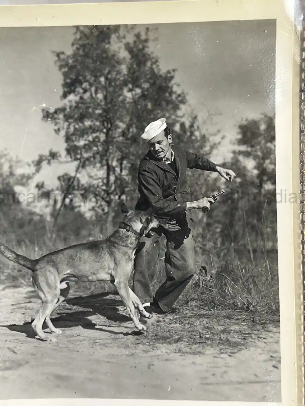 US WWII COAST GUARD WAR DOGS PHOTO, MANUAL AND DOCUMENT ARCHIVE - RARE!
