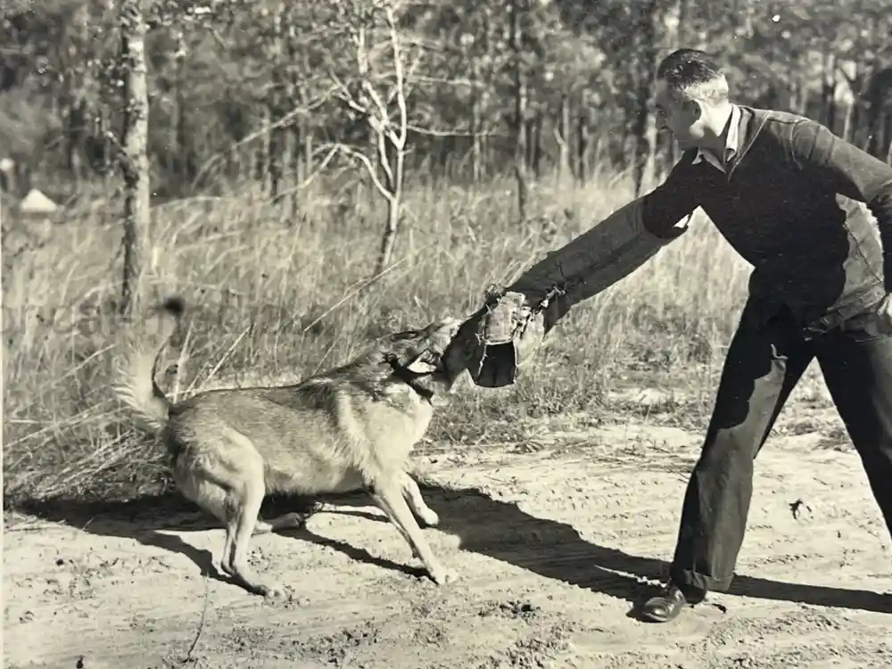 US WWII COAST GUARD WAR DOGS PHOTO, MANUAL AND DOCUMENT ARCHIVE - RARE!