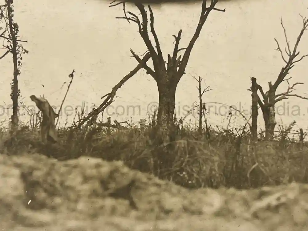 US WWII PHOTO GROUPING - 32ND DIVISION - ALSACE 1918 - SNIPER PHOTO +