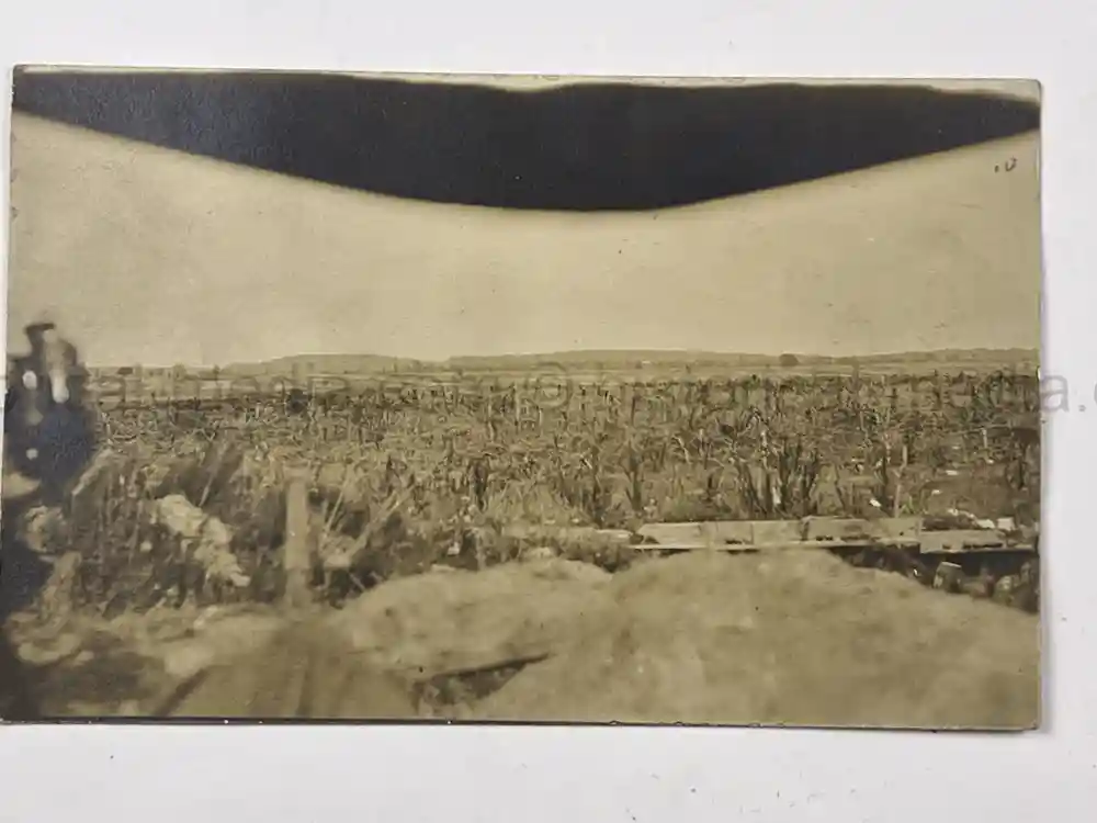 US WWII PHOTO GROUPING - 32ND DIVISION - ALSACE 1918 - SNIPER PHOTO +