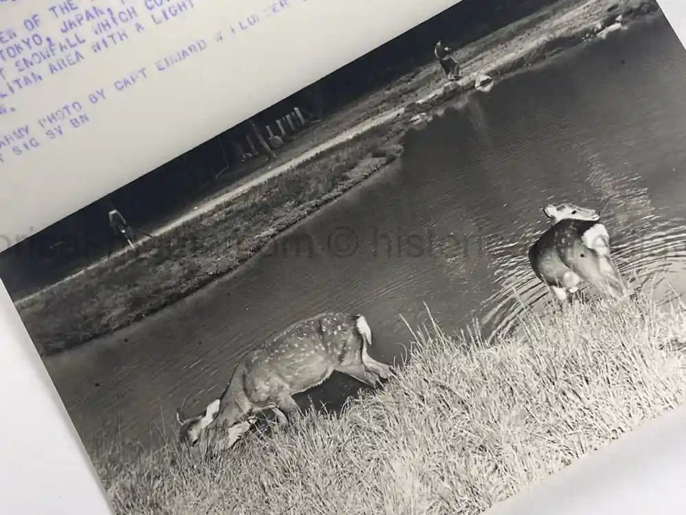 GENERAL MAXWELL TAYLOR PRESENTATION PHOTO ALBUM - JAPAN VISIT 1957