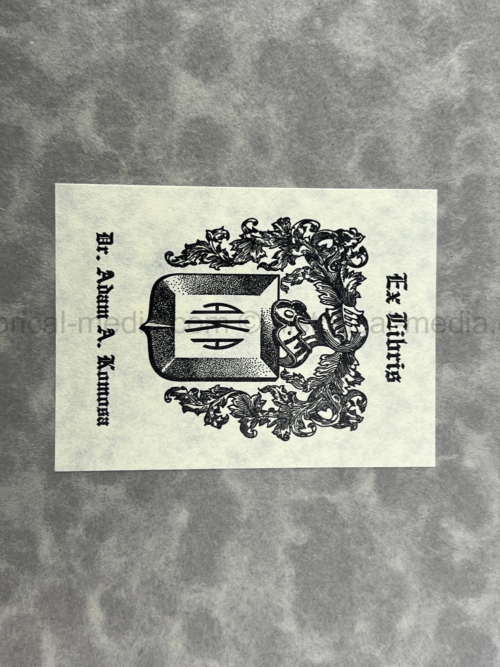 PHOTO ALBUM ESTATE OF LT. COL ADAM KOMOSA - COMMANDER CO. D, 504TH PIR, 82ND AIRBORNE