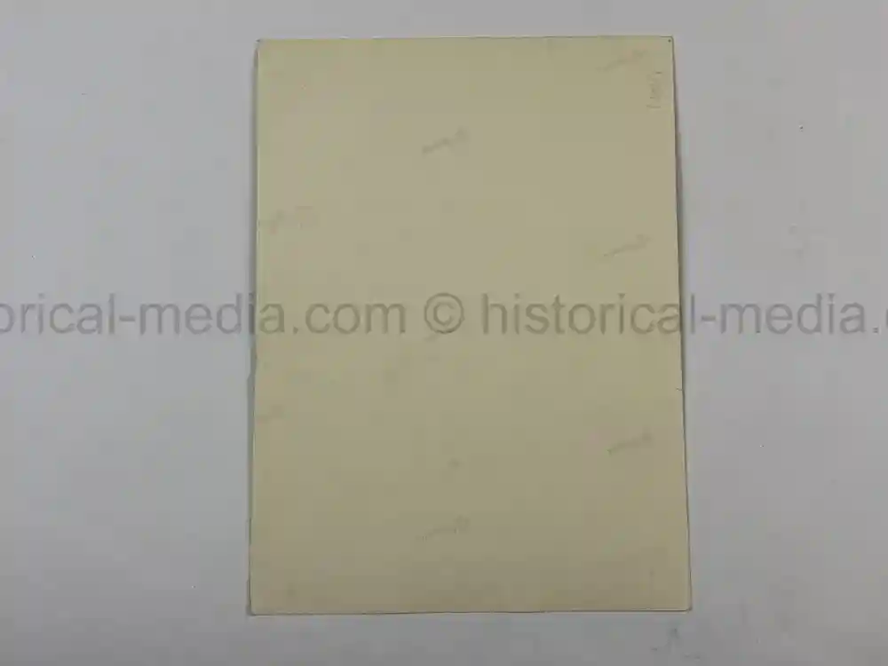 WAFFEN SS GENERAL PHOTO GROUPING - SS-OBERGRUPPENFÜHRER ARTUR PHLEPS WAFFEN SS GENERAL PHOTO GROUPING - SS-OBERGRUPPENFÜHRER ARTUR PHLEPS