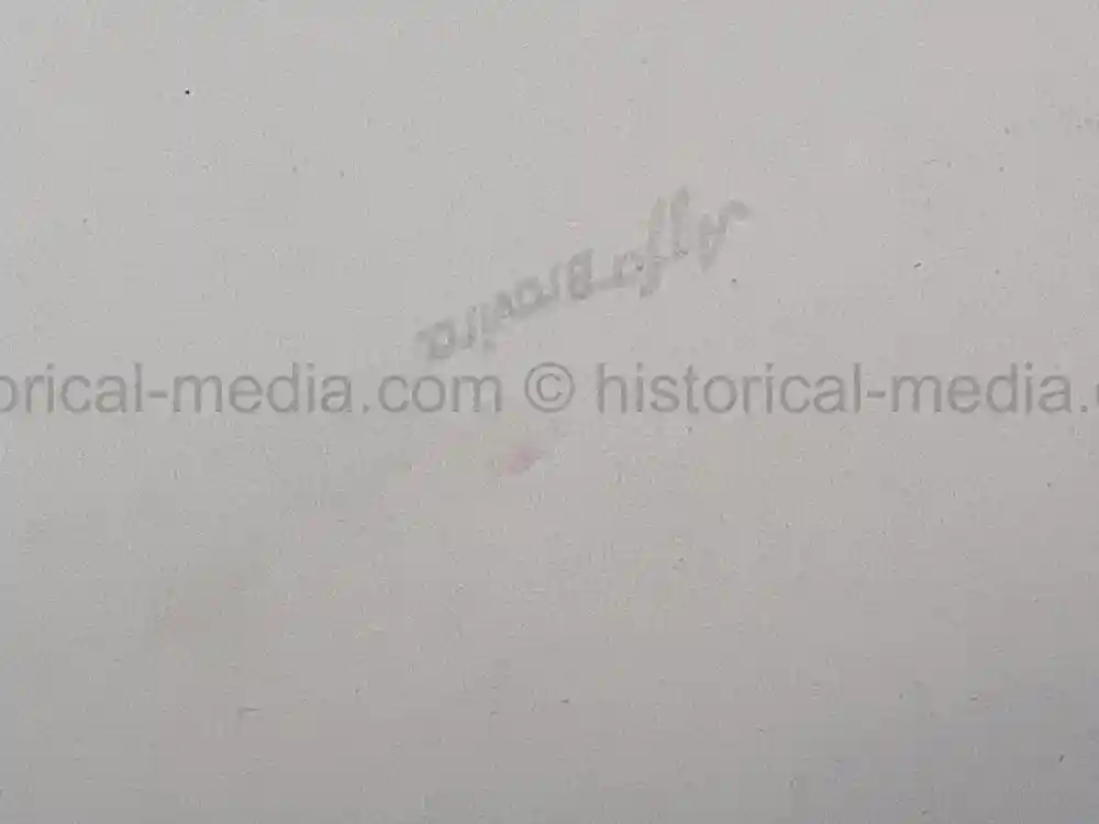 WAFFEN SS GENERAL PHOTO GROUPING - SS-OBERGRUPPENFÜHRER ARTUR PHLEPS WAFFEN SS GENERAL PHOTO GROUPING - SS-OBERGRUPPENFÜHRER ARTUR PHLEPS