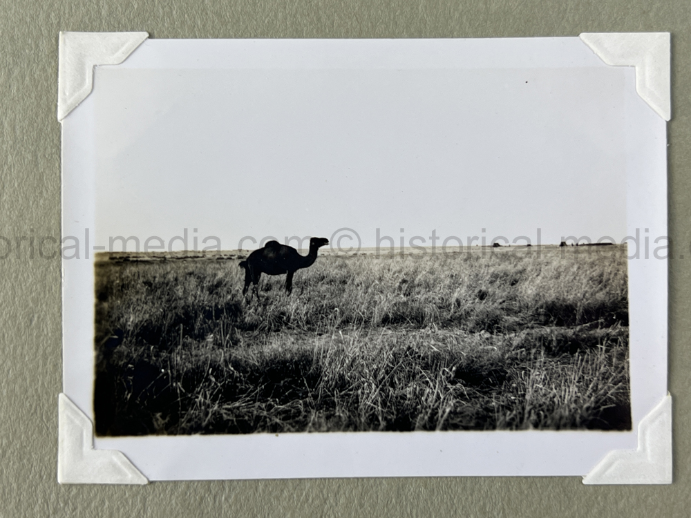 PHOTO ALBUM ESTATE OF LT. COL ADAM KOMOSA - COMMANDER CO. D, 504TH PIR, 82ND AIRBORNE