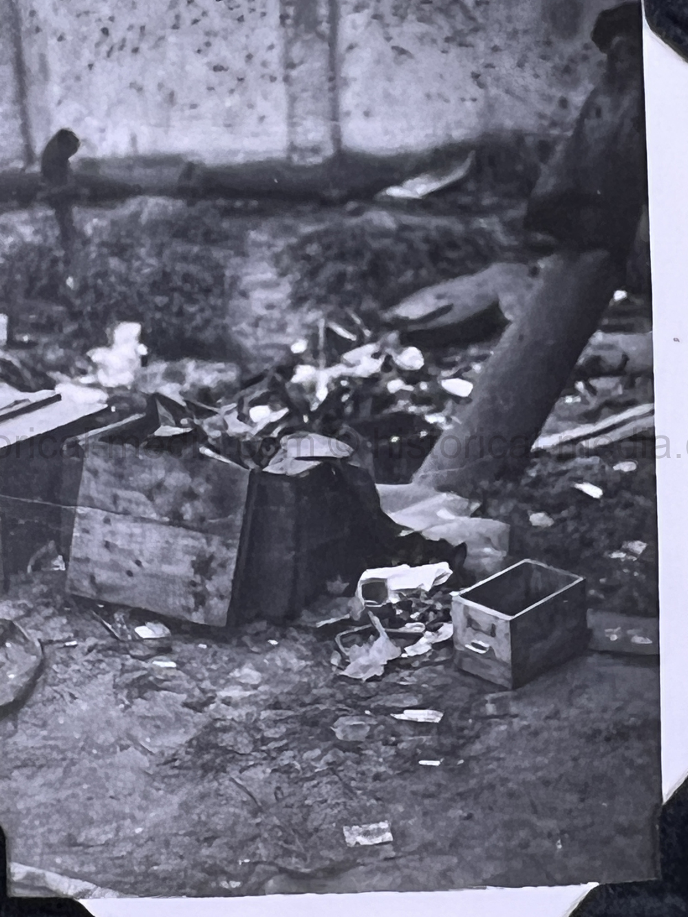 PHOTO ALBUM ESTATE OF LT. COL ADAM KOMOSA - COMMANDER CO. D, 504TH PIR, 82ND AIRBORNE