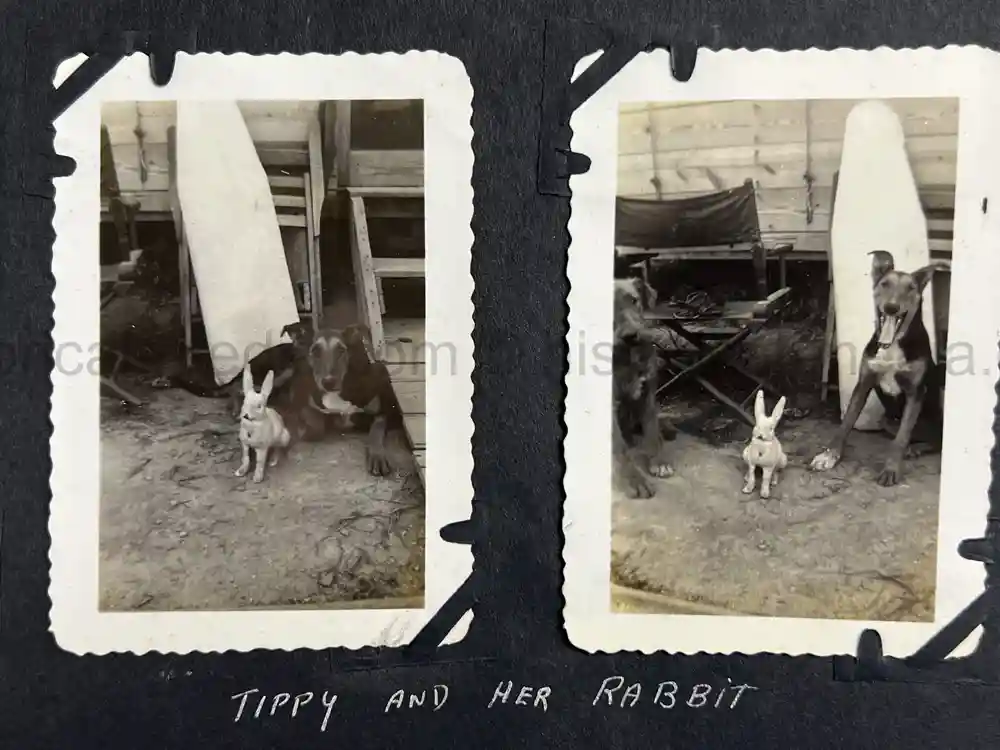 US WWII PHOTO ALBUM - BATTLE OF THE BULGE, GERMANY, NURNBERG US WWII PHOTO ALBUM - BATTLE OF THE BULGE, GERMANY, NURNBERG