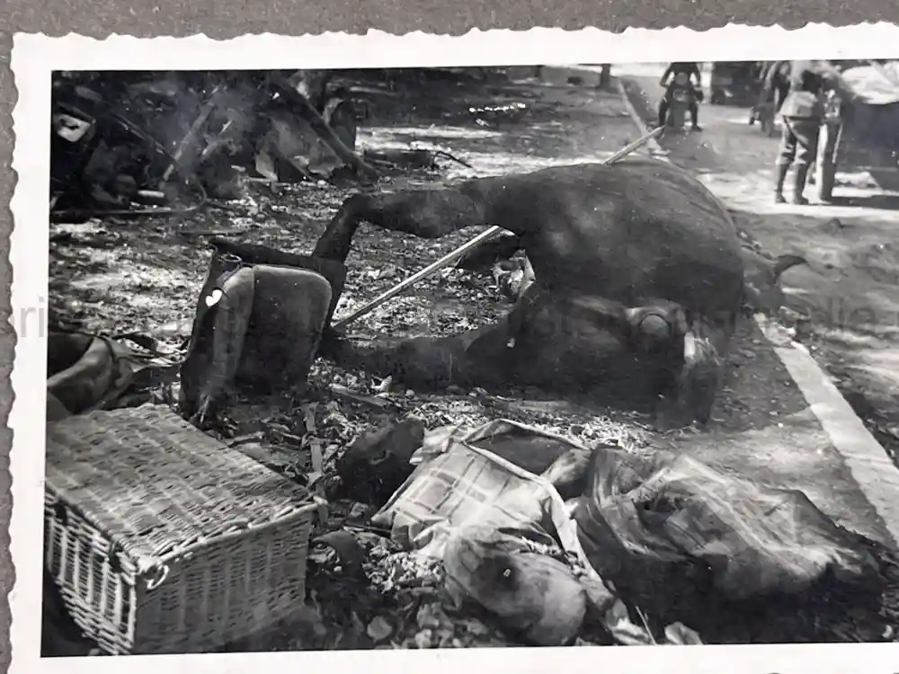 WWII GERMAN ARMY PHOTO ALBUM - POLAND, FRANCE, RUSSIA - GREAT COMBAT IMAGES!