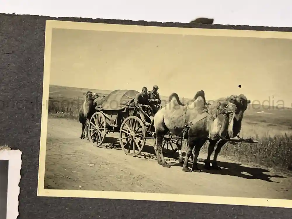 WWII GERMAN ARMY PHOTO ALBUM - POLAND, FRANCE, RUSSIA - GREAT COMBAT IMAGES!