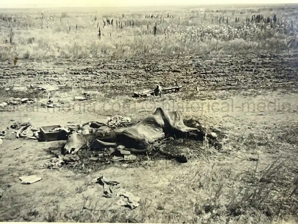 WWII GERMAN ARMY PHOTO ALBUM - POLAND, FRANCE, RUSSIA - GREAT COMBAT IMAGES!