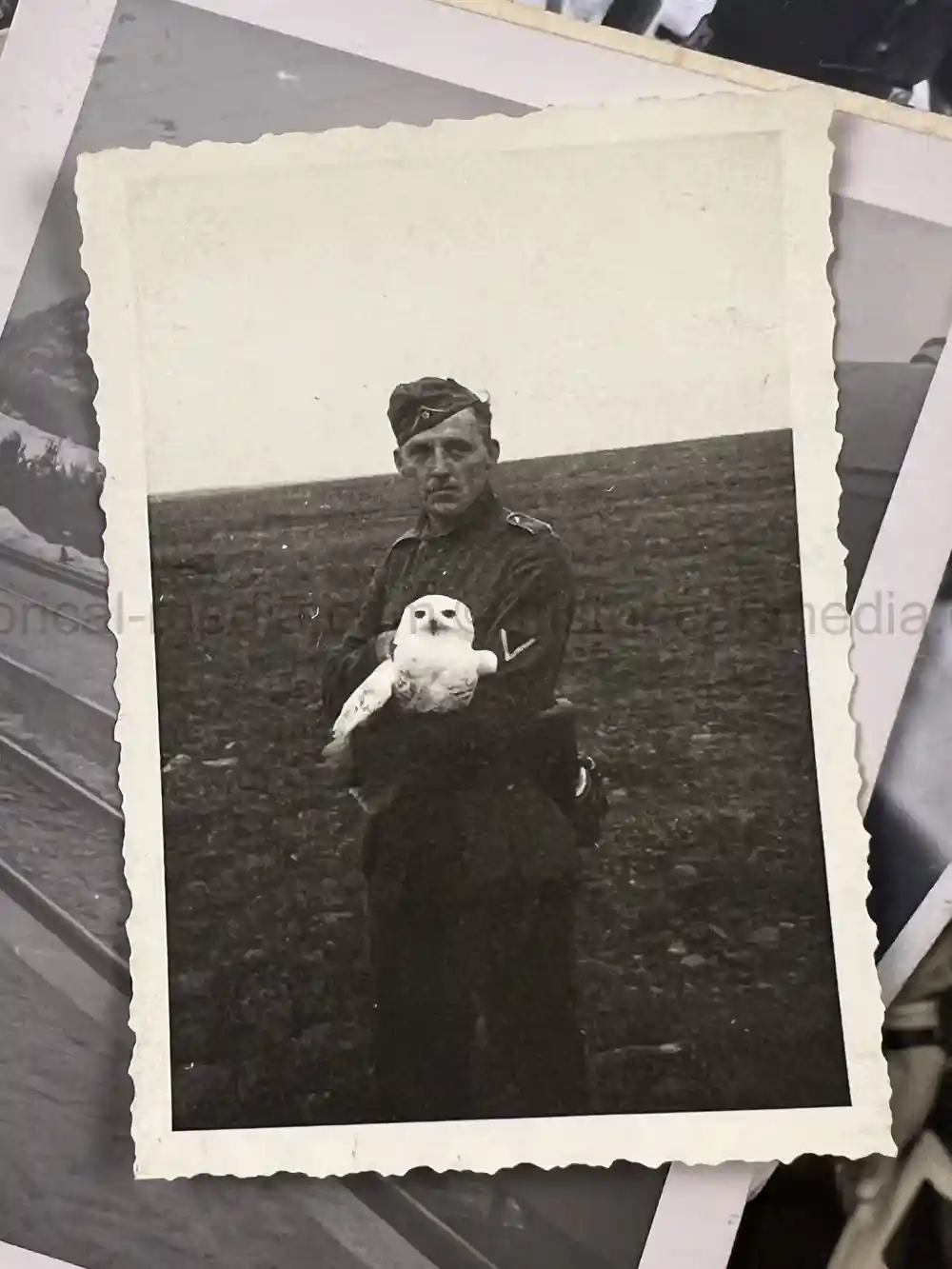 WWII GERMAN GEBIRGSJÄGER OFFICER PHOTO GROUPING - NORWAY, FINLAND